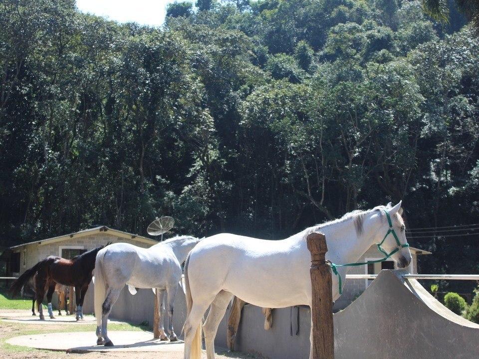 Hotel Fazenda Apm Caieiras Екстериор снимка